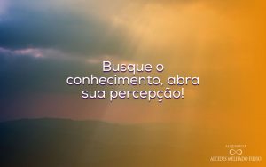 Todos nós temos condições de transformar qualquer coisa