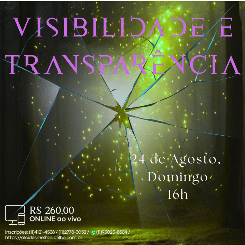 Curso Online e ao Vivo: Visibilidade e Transparência (Agosto)